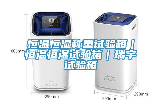 恒溫恒濕稱重試驗箱|恒溫恒濕試驗箱|瑞宇試驗箱