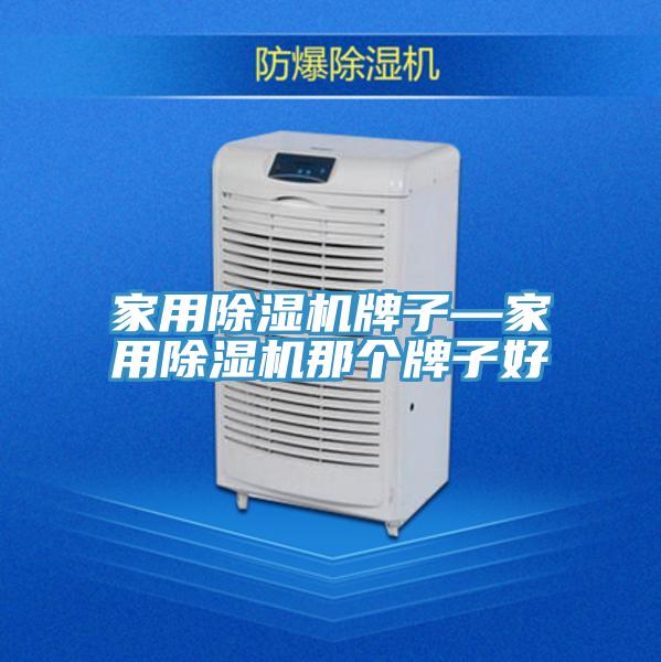 家用除濕機牌子—家用除濕機那個牌子好