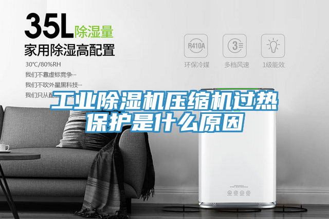 工業除濕機壓縮機過熱保護是什么原因