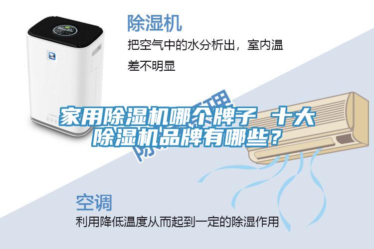 家用除濕機哪個牌子 十大除濕機品牌有哪些？