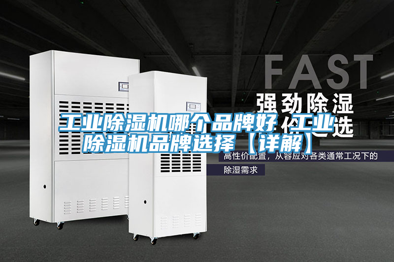 工業(yè)除濕機(jī)哪個(gè)品牌好 工業(yè)除濕機(jī)品牌選擇【詳解】