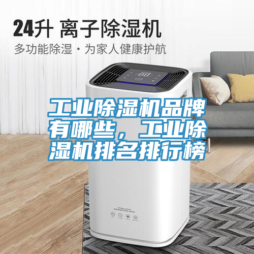 工業(yè)除濕機(jī)品牌有哪些，工業(yè)除濕機(jī)排名排行榜