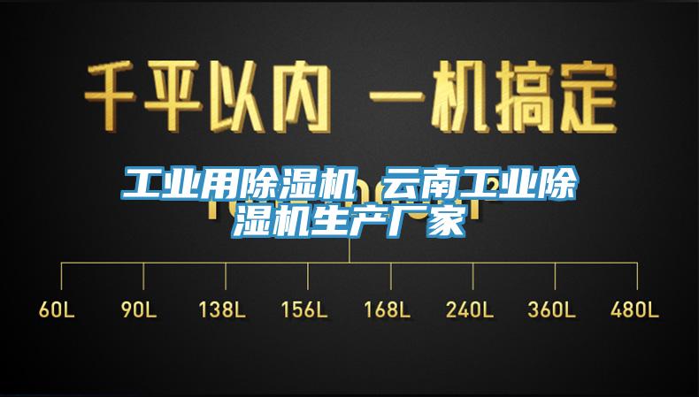 工業用除濕機 云南工業除濕機生產廠家
