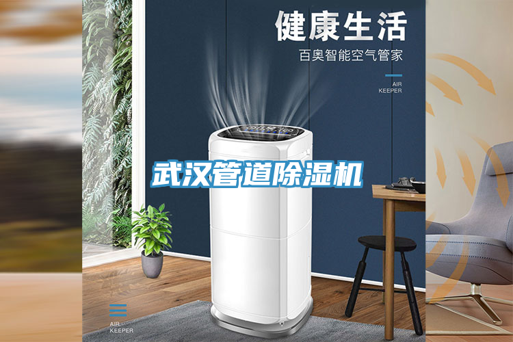 武漢管道除濕機(jī)