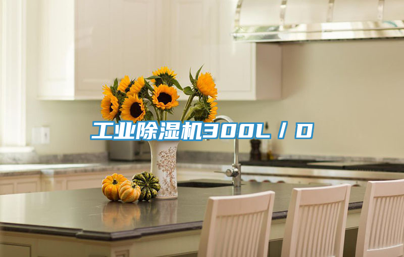 工業除濕機300L／D