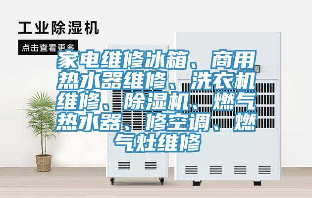 家電維修冰箱、商用熱水器維修、洗衣機(jī)維修、除濕機(jī)、燃?xì)鉄崴鳌⑿蘅照{(diào)、燃?xì)庠罹S修