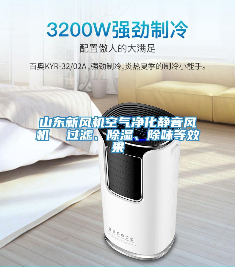 山東新風機空氣凈化靜音風機  過濾、除濕、除味等效果
