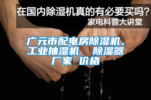 廣元市配電房除濕機(jī),工業(yè)抽濕機(jī) 除濕器廠家 價(jià)格