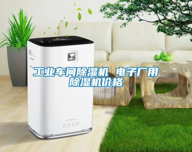 工業車間除濕機 電子廠用除濕機價格