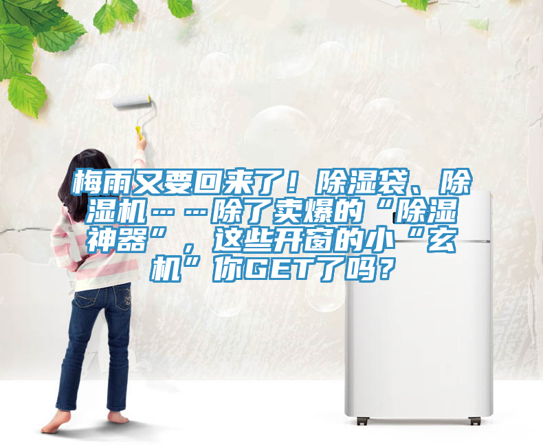 梅雨又要回來了！除濕袋、除濕機……除了賣爆的“除濕神器”，這些開窗的小“玄機”你GET了嗎？