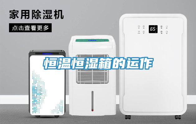 恒溫恒濕箱的運作