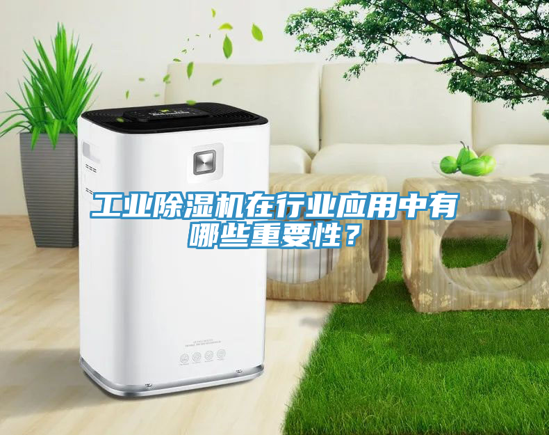 工業(yè)除濕機在行業(yè)應(yīng)用中有哪些重要性？