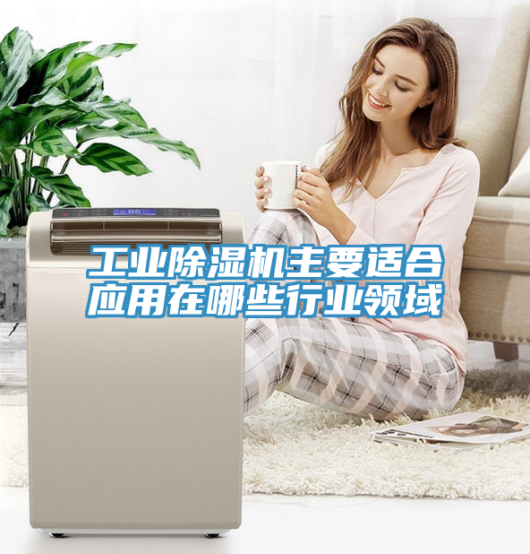 工業(yè)除濕機主要適合應(yīng)用在哪些行業(yè)領(lǐng)域