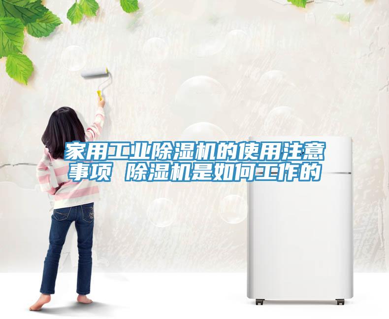 家用工業除濕機的使用注意事項 除濕機是如何工作的