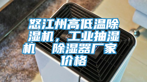 怒江州高低溫除濕機，工業抽濕機  除濕器廠家 價格