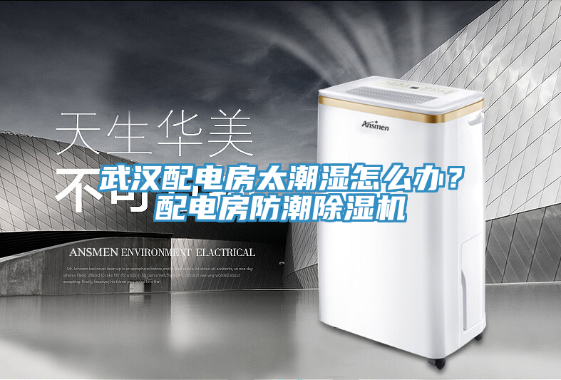 武漢配電房太潮濕怎么辦？配電房防潮除濕機