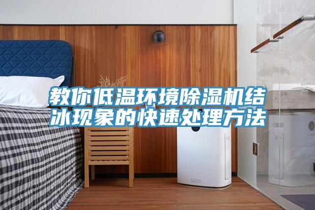 教你低溫環境除濕機結冰現象的快速處理方法