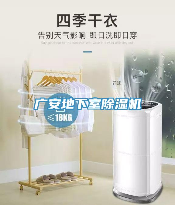 廣安地下室除濕機