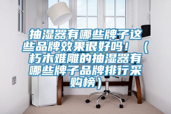 抽濕器有哪些牌子這些品牌效果很好嗎!(朽木難雕的抽濕器有哪些牌子品牌排行采購榜)