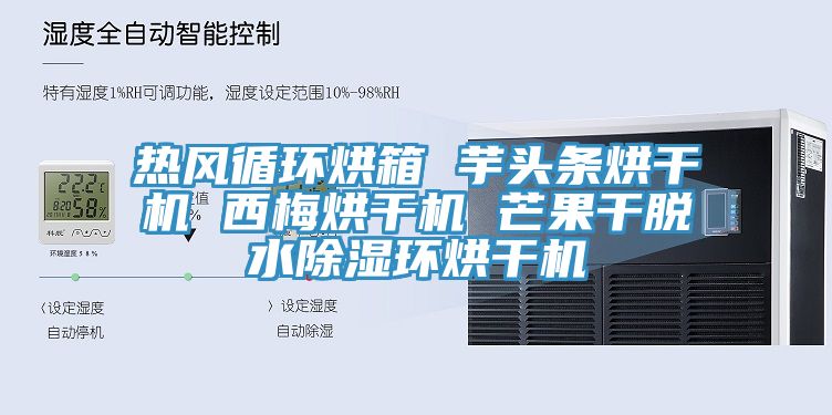熱風循環烘箱 芋頭條烘干機 西梅烘干機 芒果干脫水除濕環烘干機