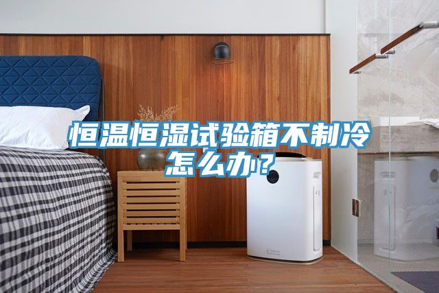 恒溫恒濕試驗箱不制冷怎么辦？