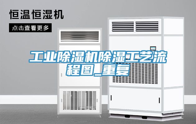 工業(yè)除濕機除濕工藝流程圖_重復
