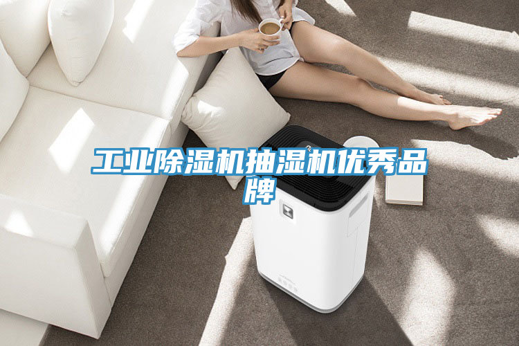 工業(yè)除濕機抽濕機優(yōu)秀品牌