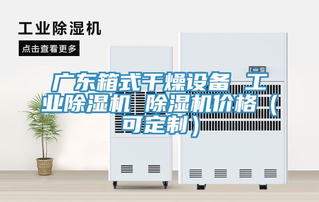 廣東箱式干燥設備 工業除濕機 除濕機價格（可定制）