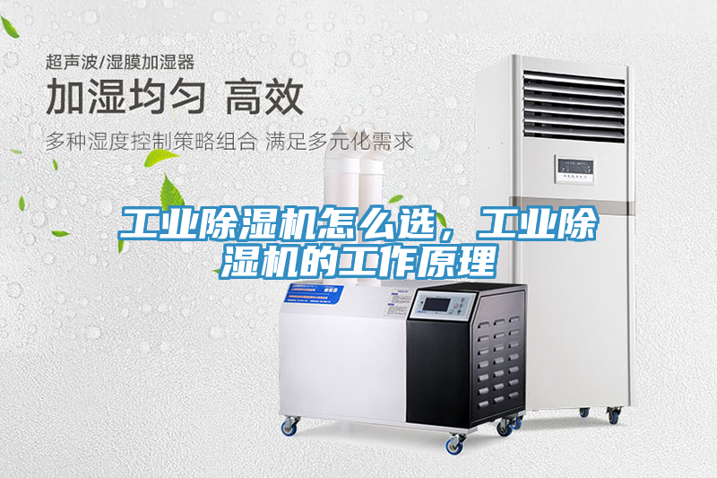 工業(yè)除濕機怎么選，工業(yè)除濕機的工作原理