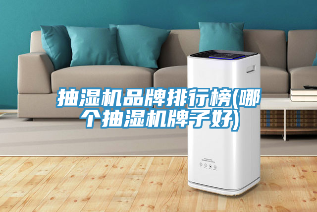 抽濕機品牌排行榜(哪個抽濕機牌子好)