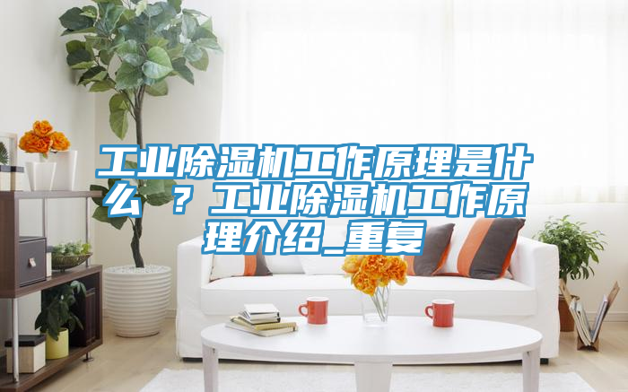 工業除濕機工作原理是什么 ？工業除濕機工作原理介紹_重復