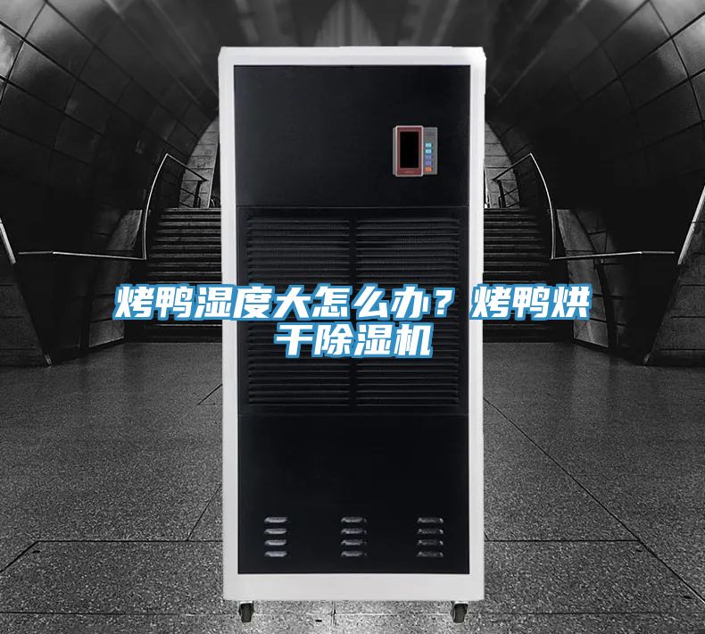 烤鴨濕度大怎么辦?烤鴨烘干除濕機