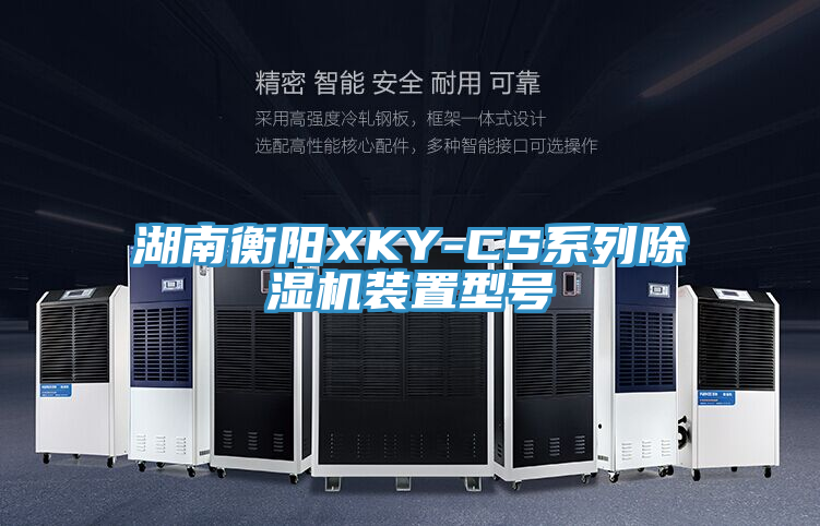 湖南衡陽XKY-CS系列除濕機(jī)裝置型號