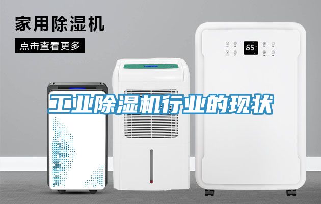 工業除濕機行業的現狀