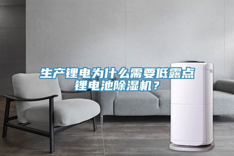 生產鋰電為什么需要低露點鋰電池除濕機？