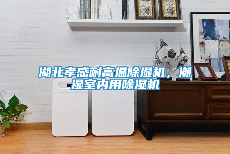 湖北孝感耐高溫除濕機(jī)，潮濕室內(nèi)用除濕機(jī)
