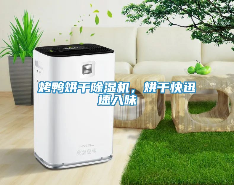 烤鴨烘干除濕機，烘干快迅速入味