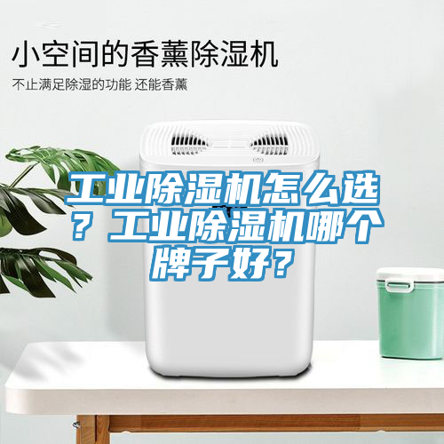 工業(yè)除濕機怎么選？工業(yè)除濕機哪個牌子好？