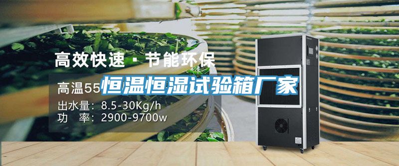 恒溫恒濕試驗(yàn)箱廠(chǎng)家