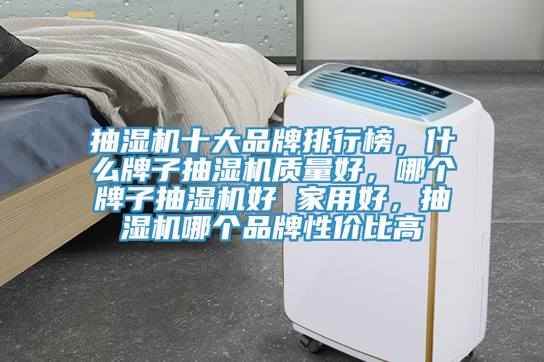 抽濕機十大品牌排行榜，什么牌子抽濕機質量好，哪個牌子抽濕機好 家用好，抽濕機哪個品牌性價比高