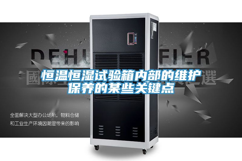 恒溫恒濕試驗箱內部的維護保養(yǎng)的某些關鍵點