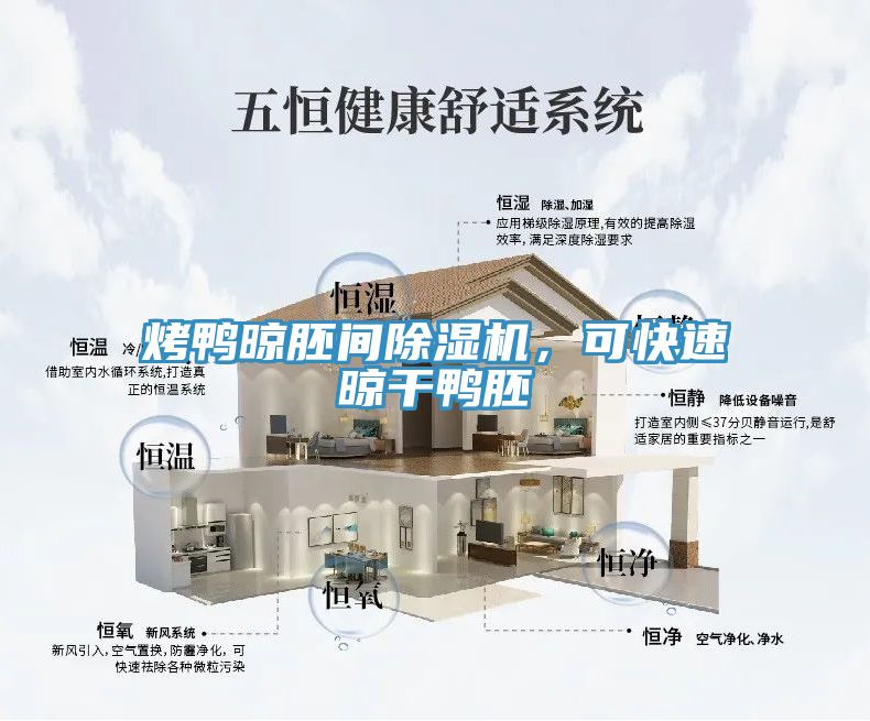 烤鴨晾胚間除濕機,可快速晾干鴨胚