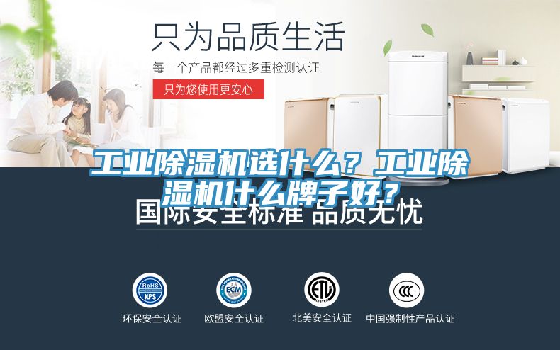 工業(yè)除濕機選什么？工業(yè)除濕機什么牌子好？