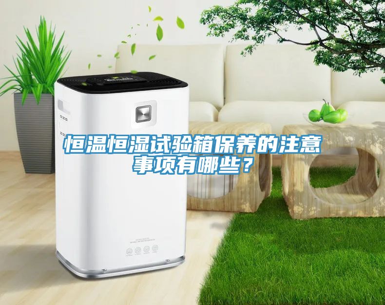 恒溫恒濕試驗箱保養的注意事項有哪些？