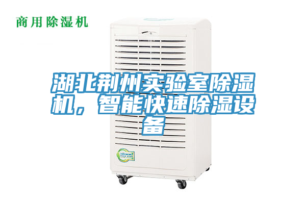 湖北荊州實(shí)驗(yàn)室除濕機(jī)，智能快速除濕設(shè)備