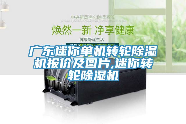 廣東迷你單機轉輪除濕機報價及圖片,迷你轉輪除濕機