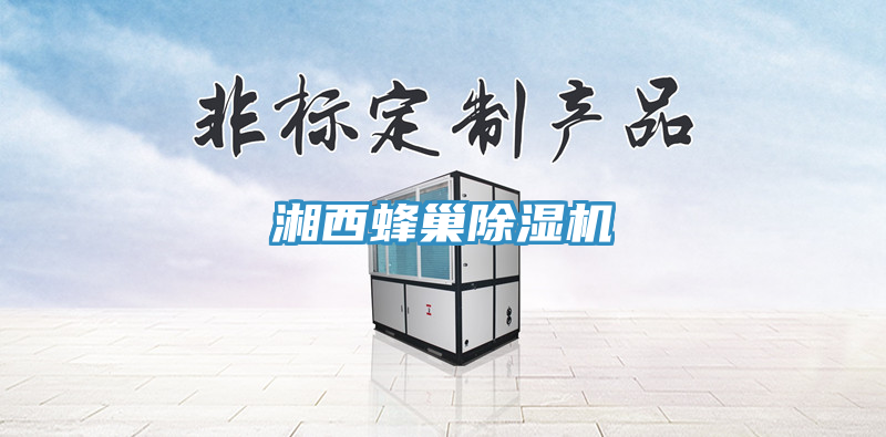 湘西蜂巢除濕機