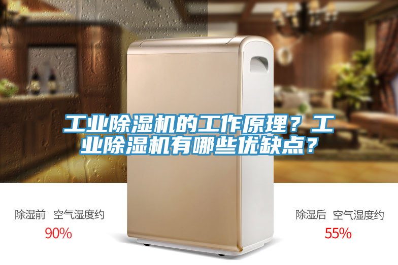 工業(yè)除濕機(jī)的工作原理？工業(yè)除濕機(jī)有哪些優(yōu)缺點(diǎn)？