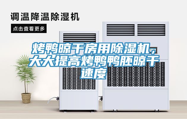 烤鴨晾干房用除濕機,大大提高烤鴨鴨胚晾干速度