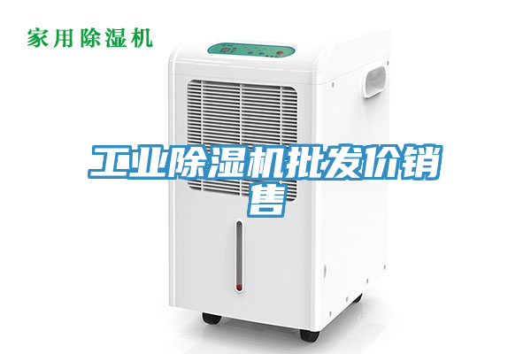 工業(yè)除濕機批發(fā)價銷售